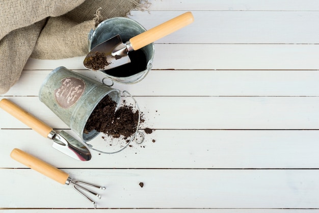 Jak skutecznie przygotować ogród na nadchodzący sezon?